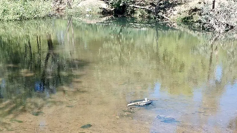 Contaminación en el río Tunal de Durango